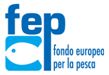 Logo FEP