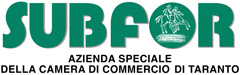 Logo Subfor