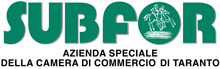 Logo Bridgeconomies