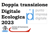 Doppia transizione Digitale Ecologica